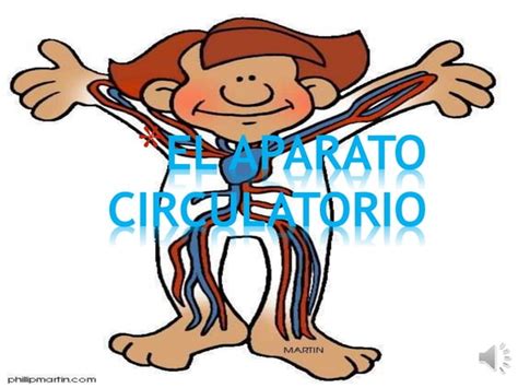 El Aparato Circulatorio PPT Descarga Gratuita