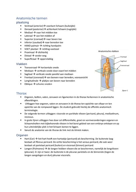 Samenvatting Tentamen Thorax Abdomen Pelvis Embryologie