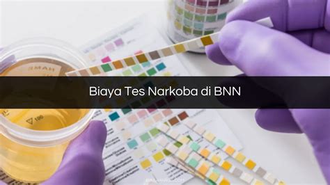 Biaya Tes Narkoba Di BNN 2023 Tujuan Syarat Prosedur Harga Biaya