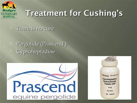 equine endocrine disorders  pps