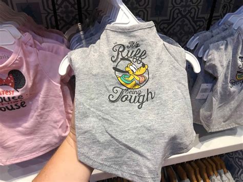 Photos New Disney Tails Pet Shirts Arrive At The Marketplace Co Op In