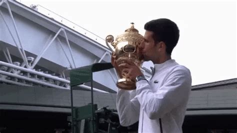 Novak Djokovic 2019 Wimbledon GIFs Get The Best On GIPHY