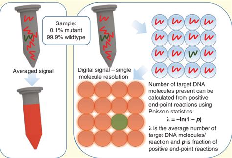 Schematic Of Digital Pcr Conventional Bulk Analysis Left Panel If A