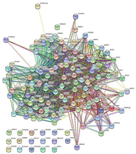 Protein Protein Interaction Network Analysis Degs N 26 Of Patients