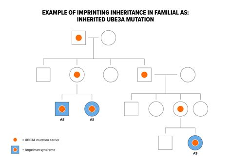 syair sdy eang delman 7