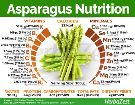 Growing Asparagus In Raised Beds And More Gardensall