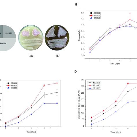 Crp Has A Positive Effect On Daptomycin Yield But No Effect On Download Scientific Diagram