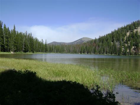 Camping Trip This Weekend To Bull Trout Lake Idaho Trout Lake Idaho