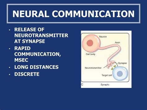 Ppt Cell Communication Signal Transduction Powerpoint Presentation