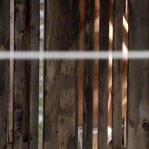 Isabel Lucas Nude And Watched By A Guy In Scene From Careful What You Wish For Scandal Planet