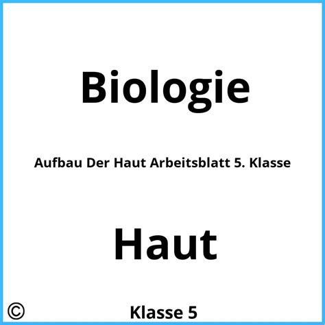 Aufbau Haut Arbeitsblatt