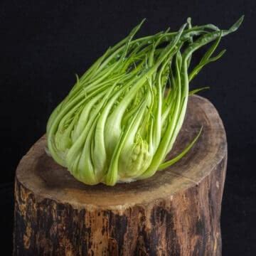 Puntarelle A Deliciously Bitter Italian Chicory Forager Chef