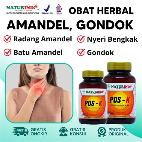 Jual Obat Herbal Amandel Untuk Anak Dewasa Obat Radang Amandel Dewasa