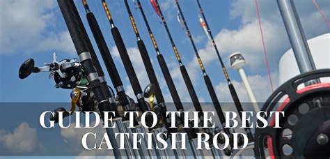 Best Catfish Rod Reviews - Giga Fishing