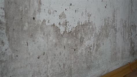 Black Mold on Walls. Mold in House Stock Video - Video of cold, indoor ...