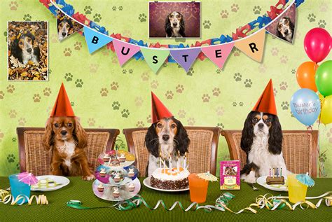 Your Ultimate Guide To Throwing The Best Dog Birthday Party Ever