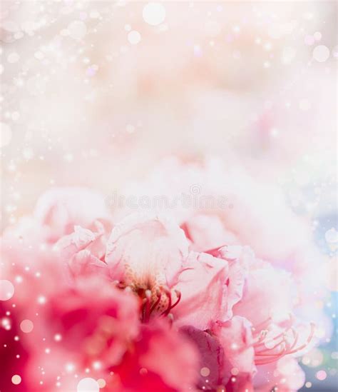 Floral Romantic Abstract Pastel Border Background With Red Flowers