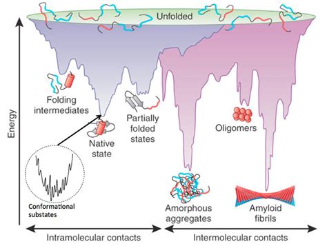 2: Energy landscape of globular proteins. The protein energy landscape ...