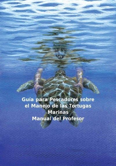 Gu A Para Pescadores Sobre El Manejo De Las Tortugas Marinas