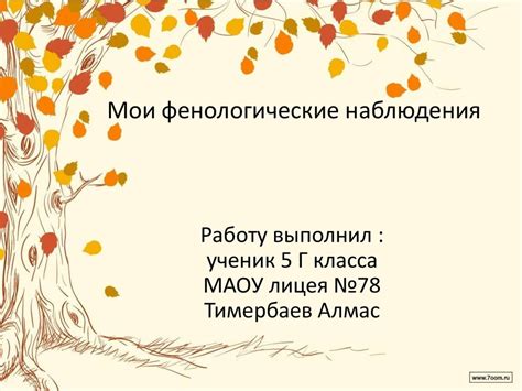 Мои фенологические наблюдения. 5 класс - презентация онлайн