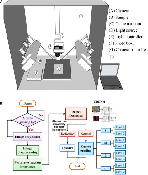 Frontiers Application Of Machine Vision System In Food Detection