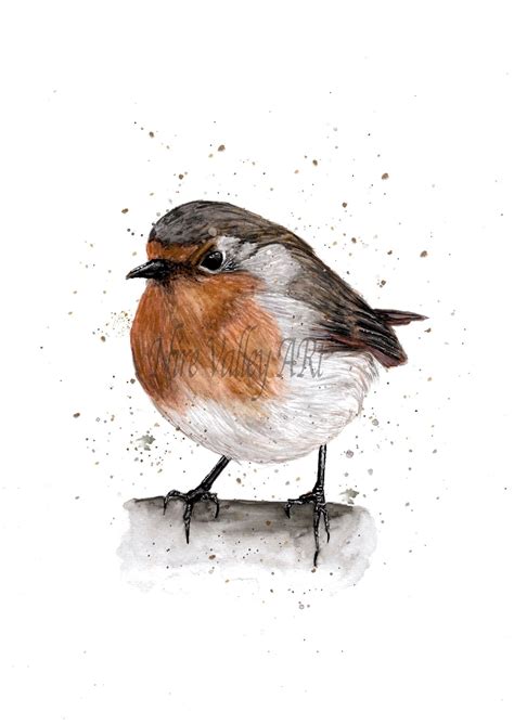 Robin Watercolour Print, Robin Art, Wildlife Wall Art Print, Modern ...