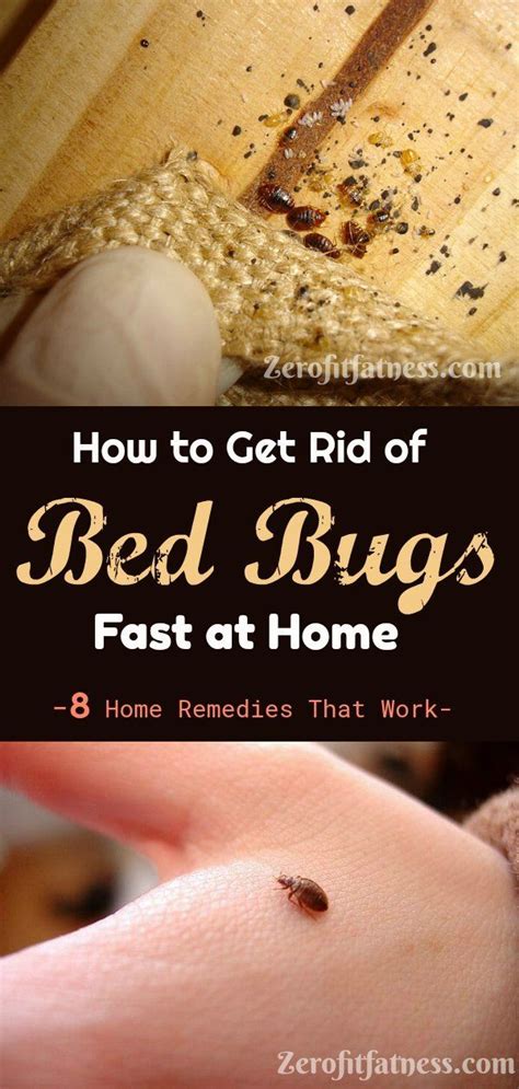 How To Get Rid Of Bed Bugs Fast 8 Home Remedies That Work Rid Of Bed Bugs Bed Bug Spray