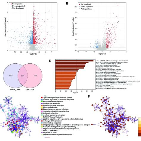 Identification Of Degs And Analysis Of Gene Functional Enrichment