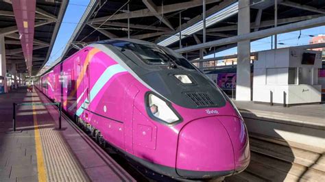 Renfe Pone A Circular 100 Trenes Pet Friendly Para Viajar Con Perros