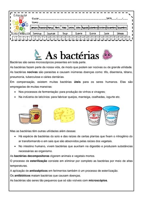 Atividades Sobre Seres Vivos Microscópicos 4 Ano Edukita