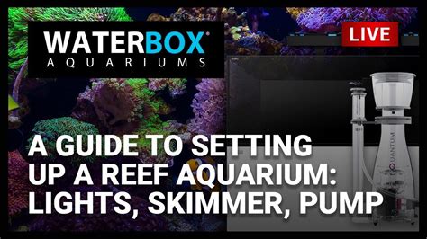 Reef Aquarium Setup Guide