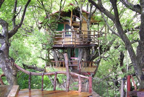 Treehouse Hotels The Worlds 10 Coolest Treehouse Hotels Thrillist