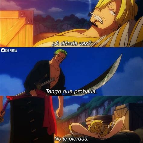 One Piece Frases . Zoro Vs Sanji . Wano Arc | Videos divertidos, Humor gracioso, Perros y gatos ...