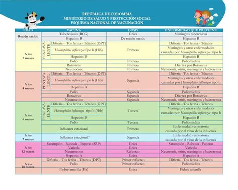 Ficha De Vacunas Enfermero Isaias Rivas Enfermeroisaiasrivas UDocz