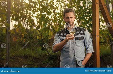 Viticulturista Positivo Hombre Agricultor Bebe Vino En Viticultor De La