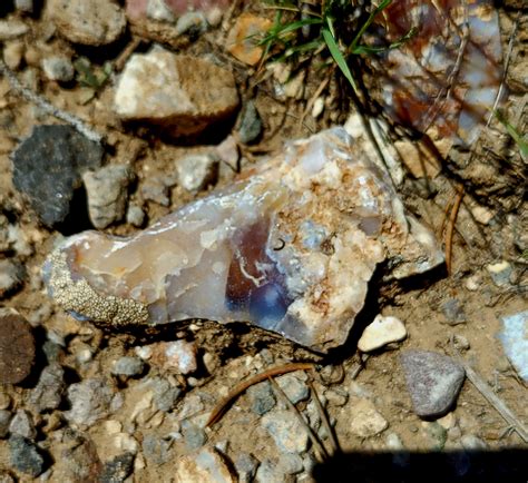 Agate Hill Rockhounding – My Zion Vacation