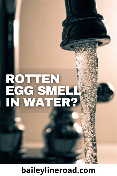"How Do I Get Rid of Rotten Egg Smell in My Well Water?" | Rotten egg