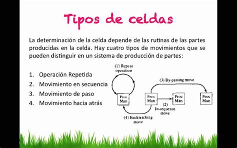 Los Distintos Tipos De Celdas