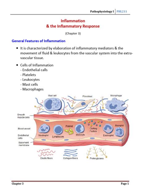 topic  inflammation  inflammation clinical medicine