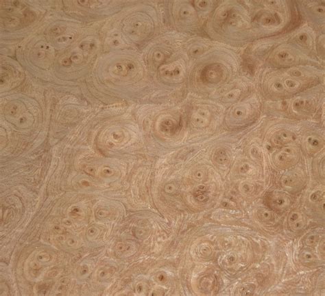 Elm Carpathian Burl Wood Veneer Sheet Aaa Grade Jso Wood Products