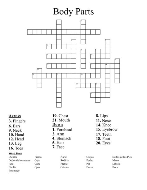 Body Parts In Spanish Crossword WordMint