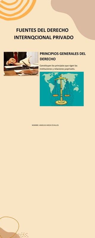 Infografia Fuentes Del Derecho Internacional Privadodocx