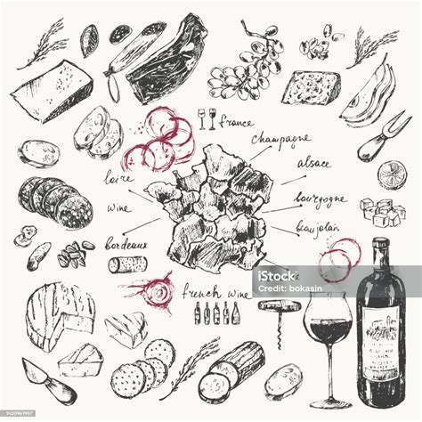 Hand Drawn Wine Illustration Set Stock Illustration Download Image