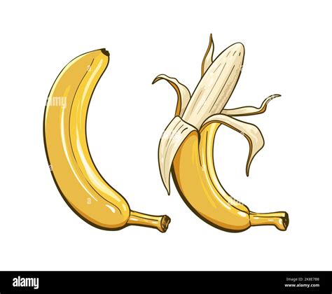 Cartoon Banana Clipart Stock Vector Image And Art Alamy