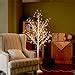 Eambrite Ft White Christmas Tree Lights Pre Lit Birch Twig Tree With