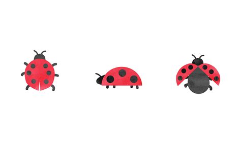 Simple Ladybug Watercolor Drawing Ladybugs Set Vector Illustration