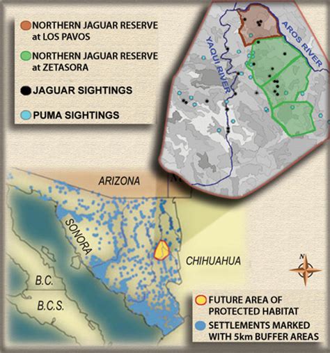 Jaguar Habitat Loss