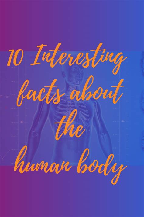 10 Interesting Facts About The Human Body Human Body Facts Human