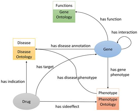 Combining Biomedical Knowledge Graphs And Text To Improve Predictions