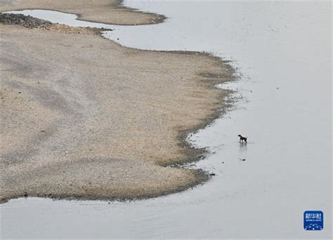 莱茵河水位下降 博览全球 东南网海外频道